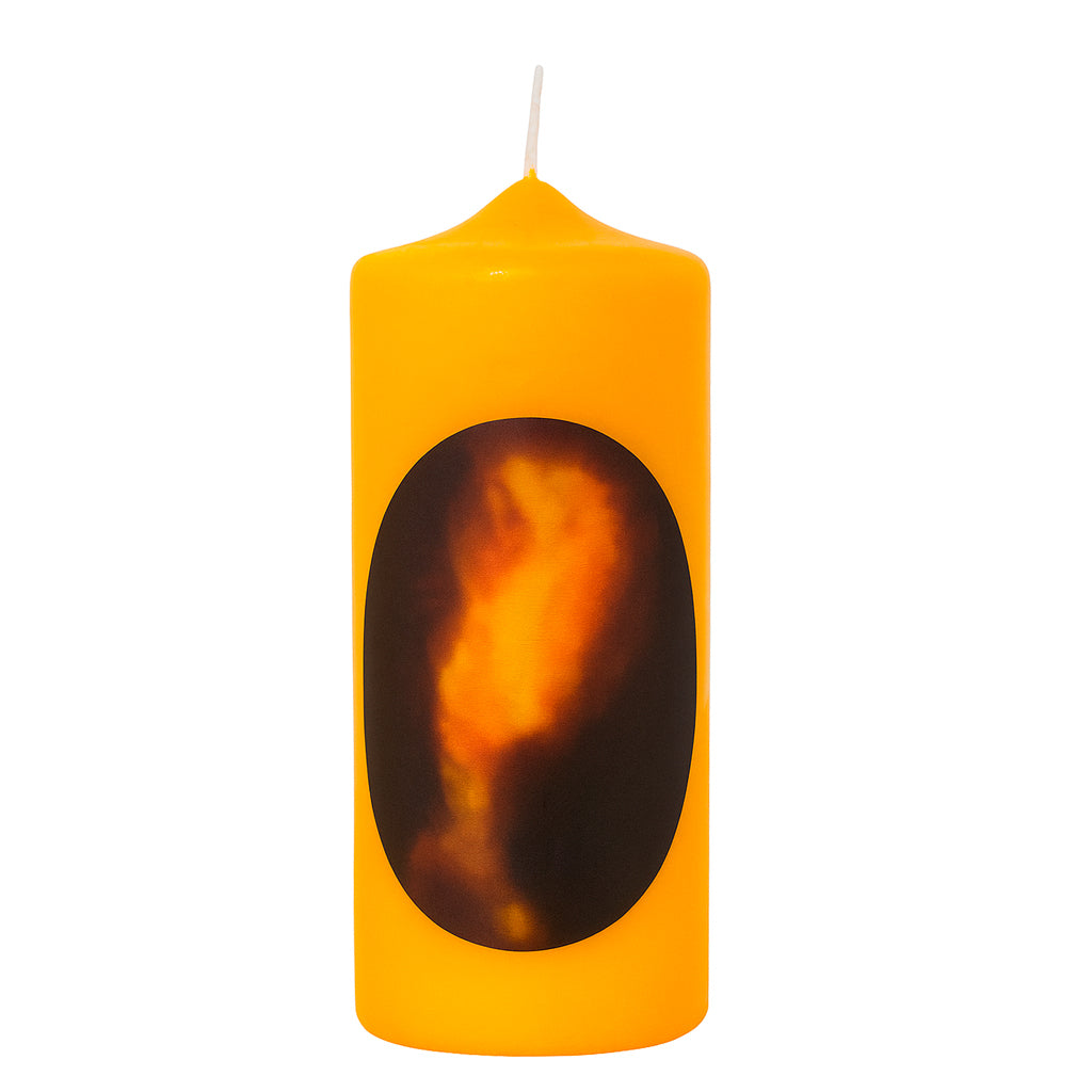 Der goldene Delphin die Urquelle